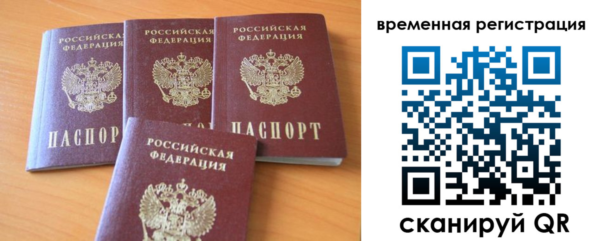 прописка для школы в Вольске